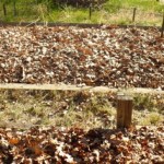 garden-mulch
