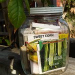 garden-seeds-800