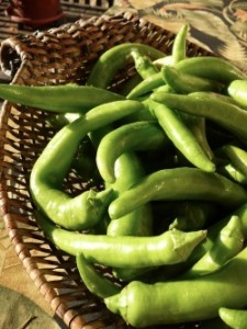 growing-peppers-250