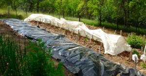extended-growing-season