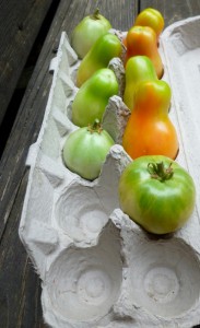 ripening-tomatoes-1