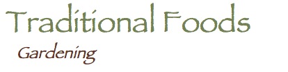 Gardening @ Traditional Foods