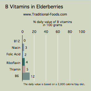 elderberries-B-vitamins