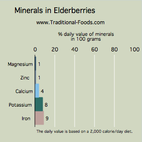 elderberries-minerals