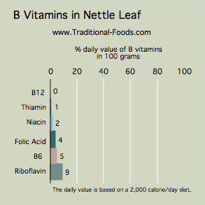 nettle leaf