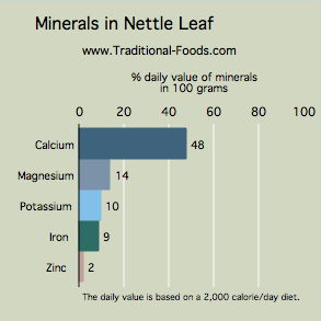 nettle leaf