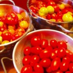 tomatoes