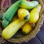vegetables vegetables