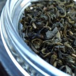 nettle-leaf-250
