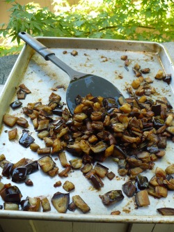 roasted-eggplant-250