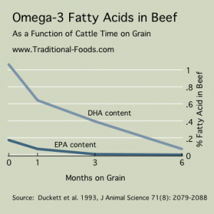 Omega3-Beef