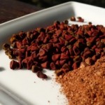 annatto-seed-250