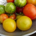 homemade-hot-sauce-heirlooms-300