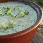 cream-of-broccoli-900