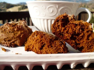 Butternut Molasses Cookies @ Traditional-Foods.com