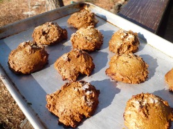 Butternut Molasses Cookies @ Traditional-Foods.com