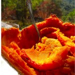 roasted-pumpkin-900 roasted-pumpkin-900