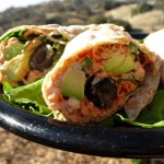 salmon-lavash-sandwich-900