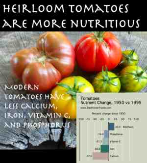 Nutrient Decline in Tomatoes @ Traditional-Foods.com