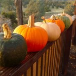 winter-squash-900