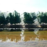 clementines-water-800