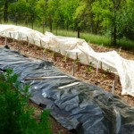 extended-growing-season