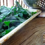 frozen-raw-greens-900