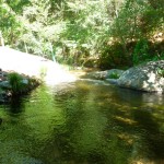 soaking-stream-900