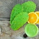 Nopales Juice Slushie