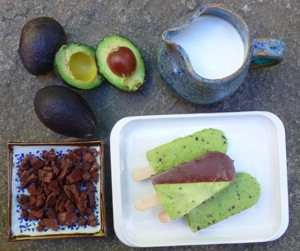 Avocado Popsicle @ Traditional-Foods.com