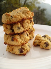 Coconut Flour Chocolate Chip Cookies @ Traditional-Foods.com