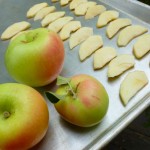 Freezing Apples @ Traditional-Foods.com