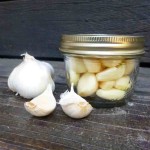Freezing Garlic @ Traditional-Foods.com