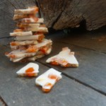 Coconut Apricot Almond Candy @ Traditional-Foods.com
