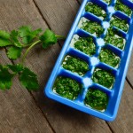 Freezing Cilantro @ Traditional-Foods.com