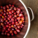 Plum Butter @  Traditional-Foods.com
