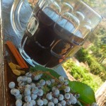 elderberry-tea-WM-800