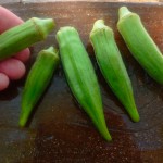 Okra Tip @ Traditional-Foods.com