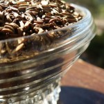 caraway-seed-800