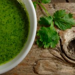 Cilantro Salsa @ Traditional-Foods.com