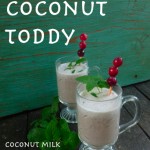 Cranberry Coconut Toddy @ Traditional-Foods.com