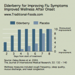 Elderberry for Flu Symptoms @ Traditional-Foods.com