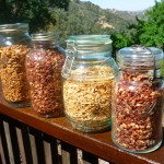 Homemade Granola @ Traditional-Foods.com