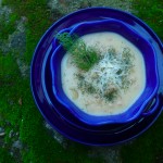 Creamy White Bean Soup with Dill and Parmesan at Traditional-Foods.com