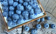 blueberries-cropped-500